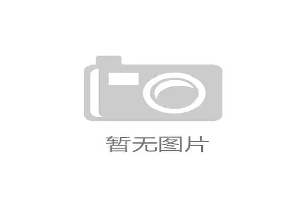 看到周琦晒的账单，我决定明天辞职